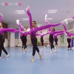 成人古典舞视频,探寻成人古典舞之美